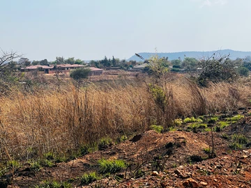 Stands & Residential Land