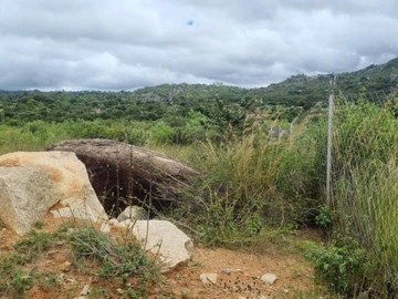 Commercial & Industrial Land