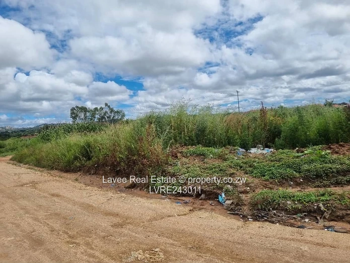 Rusape Undeveloped Lodge Site — 5,034 m² Green Plot (Sole Mandate)