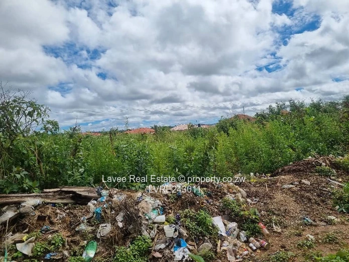 Rusape Undeveloped Lodge Site — 5,034 m² Green Plot (Sole Mandate)