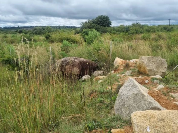 Commercial & Industrial Land