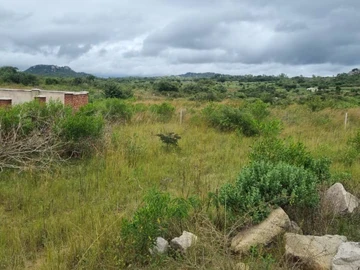 Commercial & Industrial Land