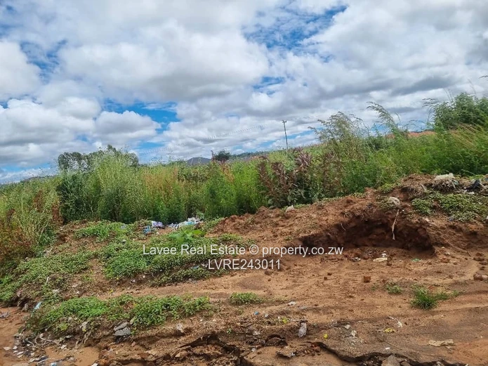 Rusape Undeveloped Lodge Site — 5,034 m² Green Plot (Sole Mandate)