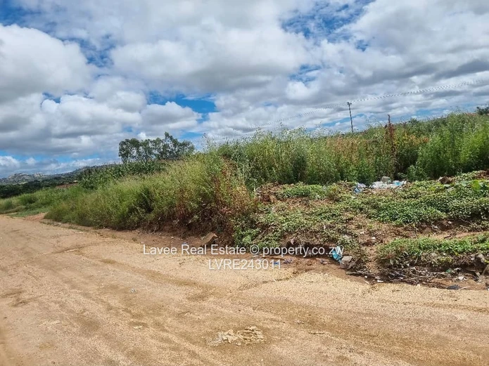 Rusape Undeveloped Lodge Site — 5,034 m² Green Plot (Sole Mandate)