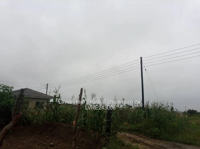 1500m² Corner Stand in Clipsham — Near New Homes (Sole Mandate)