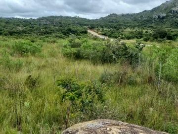 Commercial & Industrial Land