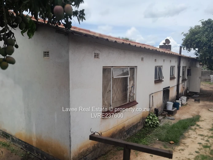 House for rent (shared)