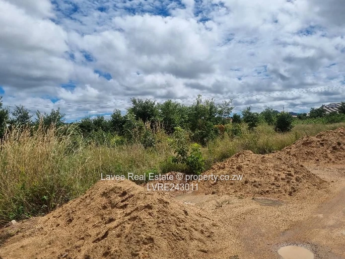 Rusape Undeveloped Lodge Site — 5,034 m² Green Plot (Sole Mandate)