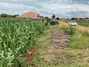 Stands & Residential Land