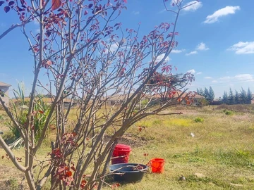 Stand for Sale in Sandton Park, Harare West