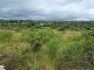 Commercial & Industrial Land